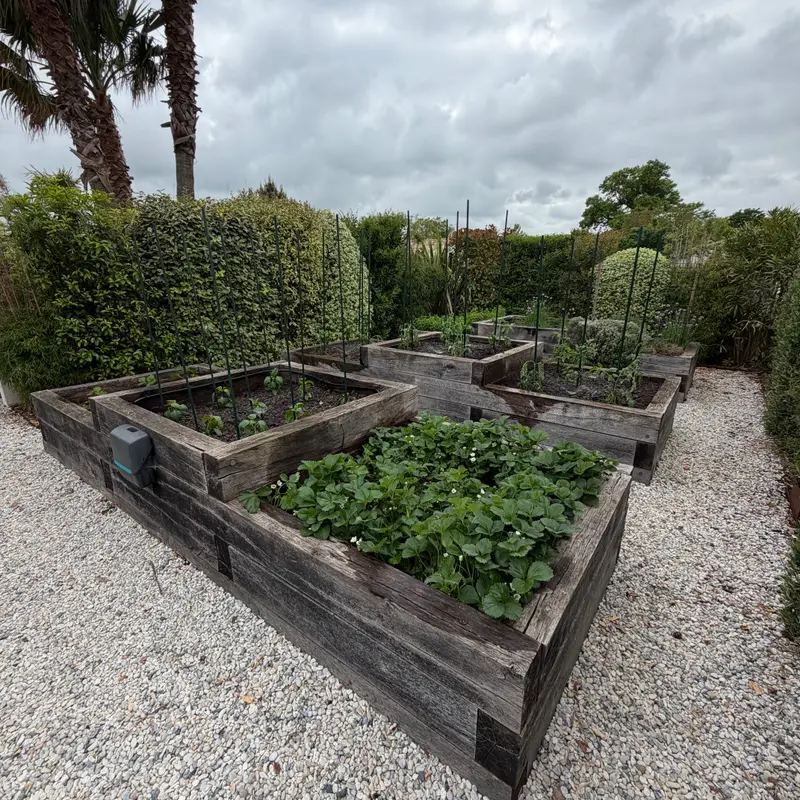 Le potager en libre service